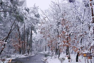 受大范围雨雪冰冻天气影响 武汉木兰草原景区临时闭园