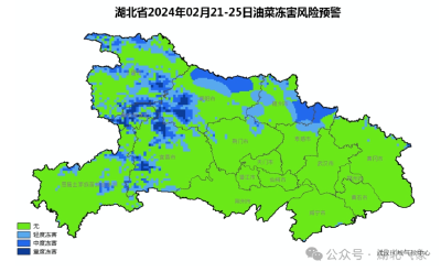 湖北再现寒潮大风和雨雪冰冻天气 设施农业和大田作物复合灾害风险高