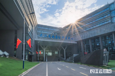 突破第三代光伏技术瓶颈！华中科技大学新成果登上《Science》
