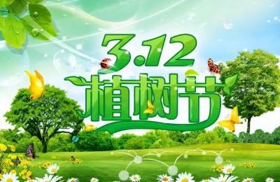 当“植树节”遇上“中草药”，科普知识不可少