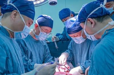 中国完成首例猪肝人体移植