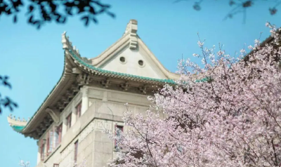 刚刚，武汉大学赏樱政策发布！新设高中生专场赏樱日