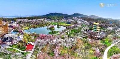 绝美！课本里的“花样”湖北