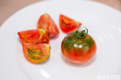 新品种番茄转化价值5000万 创华中农大成果转化新纪录