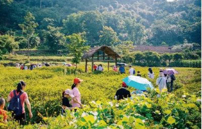 多地高校禁止学生“五一”自行组团旅游，建议与家人朋友结伴出行