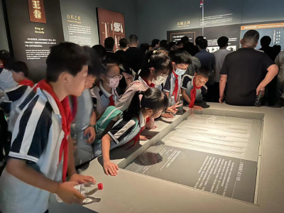 大邱社区开展关心下一代工作实践活动——走进湖北省博物馆