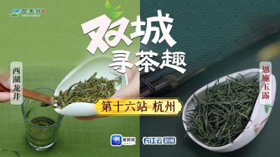 双城寻茶趣⑯杭州&恩施丨康熙乾隆带货过的茶，妙在哪？