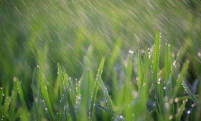 中雨、大雨、雷电！湖北天气即将大反转