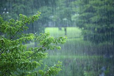 长江委预测：今年长江中下游入梅接近常年或偏晚，梅雨量偏多