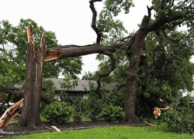 美国休斯敦遭暴风雨袭击 已致至少7人死亡