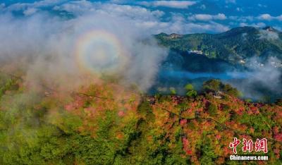 湖北黄冈：龟峰山万亩杜鹃盛开 现“圈型”彩虹景观