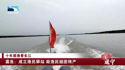 十年禁渔看长江 | 嘉鱼：成立渔民驿站 助渔民组团转产