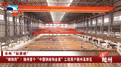 ​“钢钢的”！随州首个“中国钢结构金奖”工程落户随州高新区