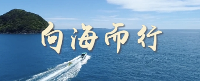 微视频｜向海而行