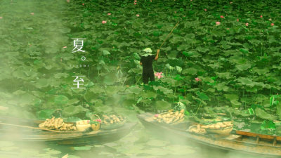 二十四节气风物志——夏至