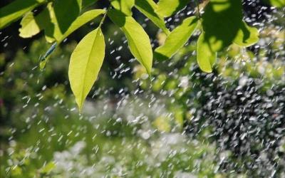 今日鄂西北有高温现身，局地37℃以上，东部仍有降雨