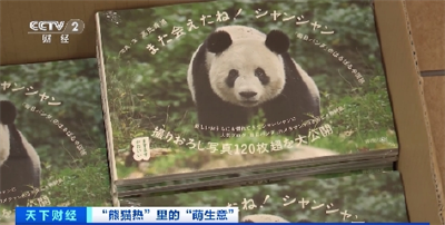 “吸睛”又“吸金”！大熊猫香香6年为日本带来28亿元经济效益