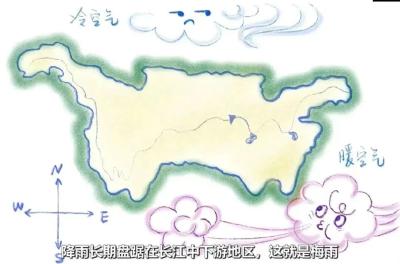 梅雨已至！收好这份最强应对攻略 总有雨过天晴的时候！ 
