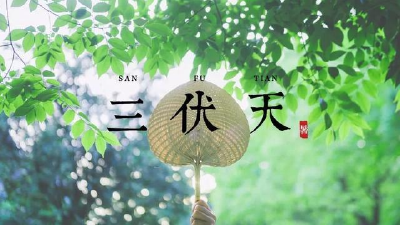 共40天！今起正式“入伏”