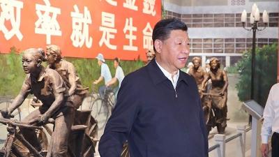 改革近镜头｜改革不停顿、开放不止步