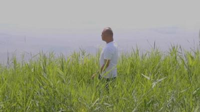 逢山开路 遇水架桥丨一条河流的美丽嬗变