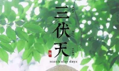夏养三伏怎么“养”？这些误区需避开→
