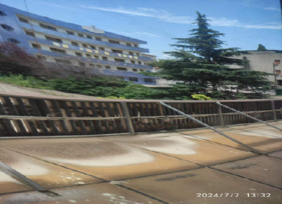 小暑节气 蝉歌不止 暑气未极