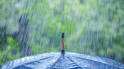 湖北西部和北部暴雨将上线 致灾风险较高