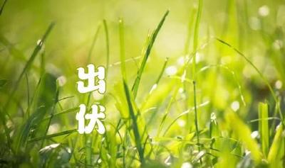 新凉直万金！8月24日出伏，长达40天的三伏终于要结束了
