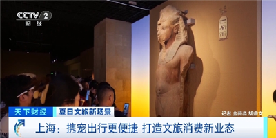 宠物航班要来了？携宠出行成风尚 上海解锁宠物消费新密码