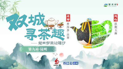 双城寻茶趣⑨云南&湖北｜“一叶风行”，茶叶从这里走向世界