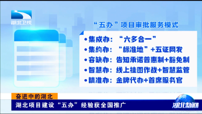 【湖北新闻】奋进中的湖北丨湖北项目建设“五办”经验获全国推广