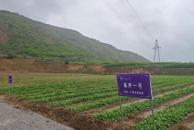 十二载跨越山海 在祖国大地书写青春华章——南开大学定点帮扶甘肃庄浪纪实