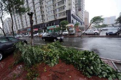 “贝碧嘉”已远，无锡免费停车继续