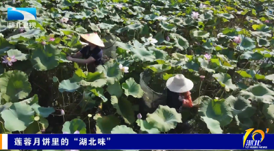 莲蓉月饼里的“湖北味”