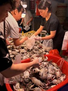 鲜活梭子蟹价格暴跌，几乎是年度最低价！正大量上市 