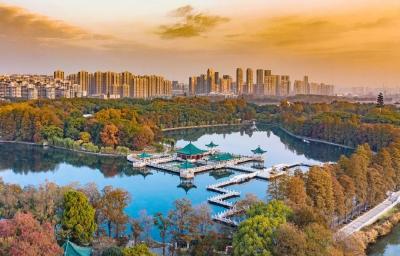 郑钦文专属推介！