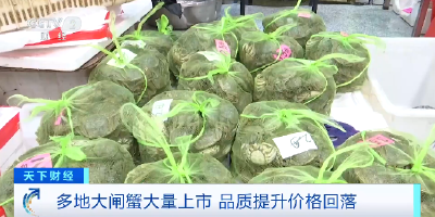 多地大闸蟹大量上市！品质提升价格回落