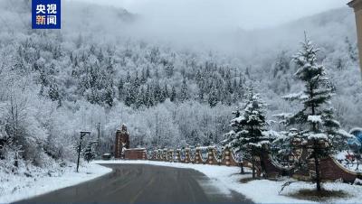 秒变童话世界！霜降节气中国雪乡迎来今秋首场降雪 