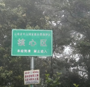 哀牢山是“禁区”吗？景区：已开发区域可放心游览