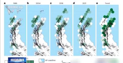 南极变绿？快速变暖地区的植被覆盖面积迅速增加