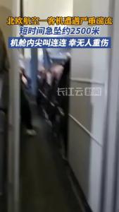 北欧航空一客机遭遇严重湍流 急坠约2500米