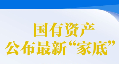 国有资产公布最新“家底”