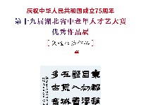 第十九届湖北省中老年人才艺大赛书法二等作品展示