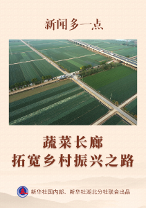 蔬菜长廊拓宽乡村振兴之路 