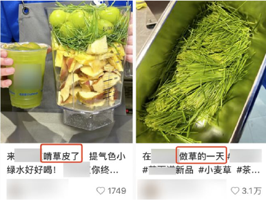 羽衣甘蓝、苦瓜入茶！果蔬茶为何如此火爆？