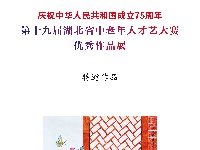 第十九届湖北省中老年人才艺大赛绘画特邀作品展示