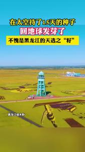 在太空待了15天的种子，回地球发芽了！不愧是黑龙江的天选之“籽”