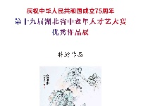 第十九届湖北省中老年人才艺大赛绘画特邀作品展示