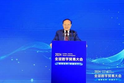 2024全球数字贸易大会在汉召开，李小加、魏建国、向松祚都来了